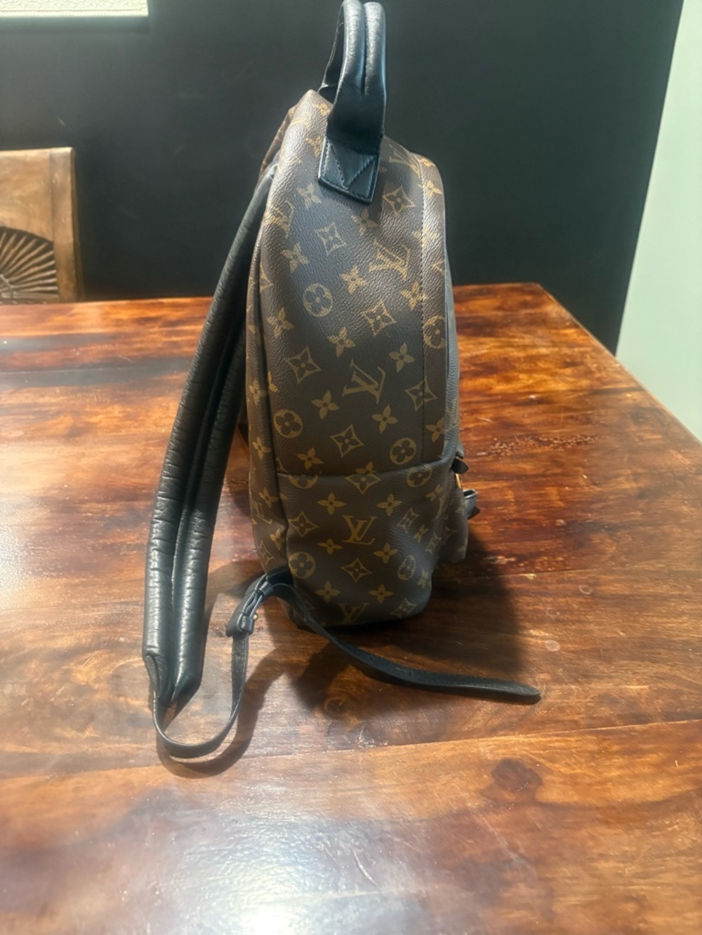 Louis Vuitton Palm Spring Mini Backpack MM - Picture 3 of 14